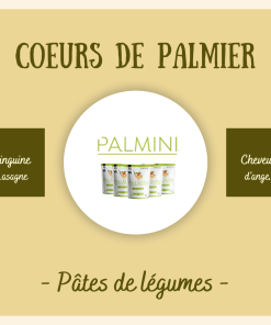 Palmini - pâtes de coeurs de palmier