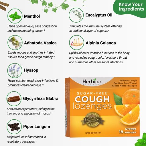 Pastilles contre la toux sans sucre - Orange – Image 3