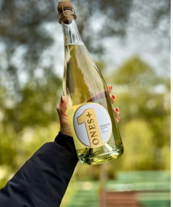 Vin blanc pétillant Ones+ bouteille 750 ml